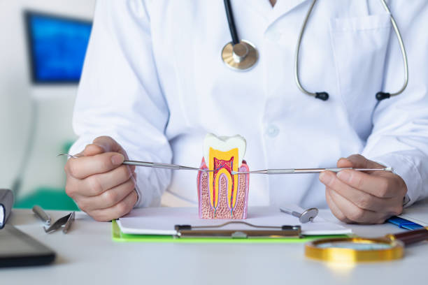 Best Emergency Treatment for Dental Infections or Abscesses in Bushnell, IL